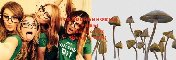 спиды Алексеевка