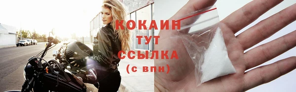 прущий лед Алзамай