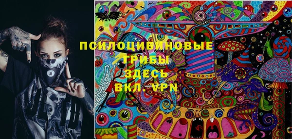 мет Алексин