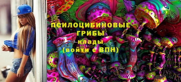 прущий лед Алзамай
