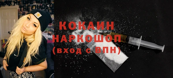 прущий лед Алзамай