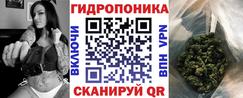 Бошки Шишки OG Kush  магазин    Симферополь 